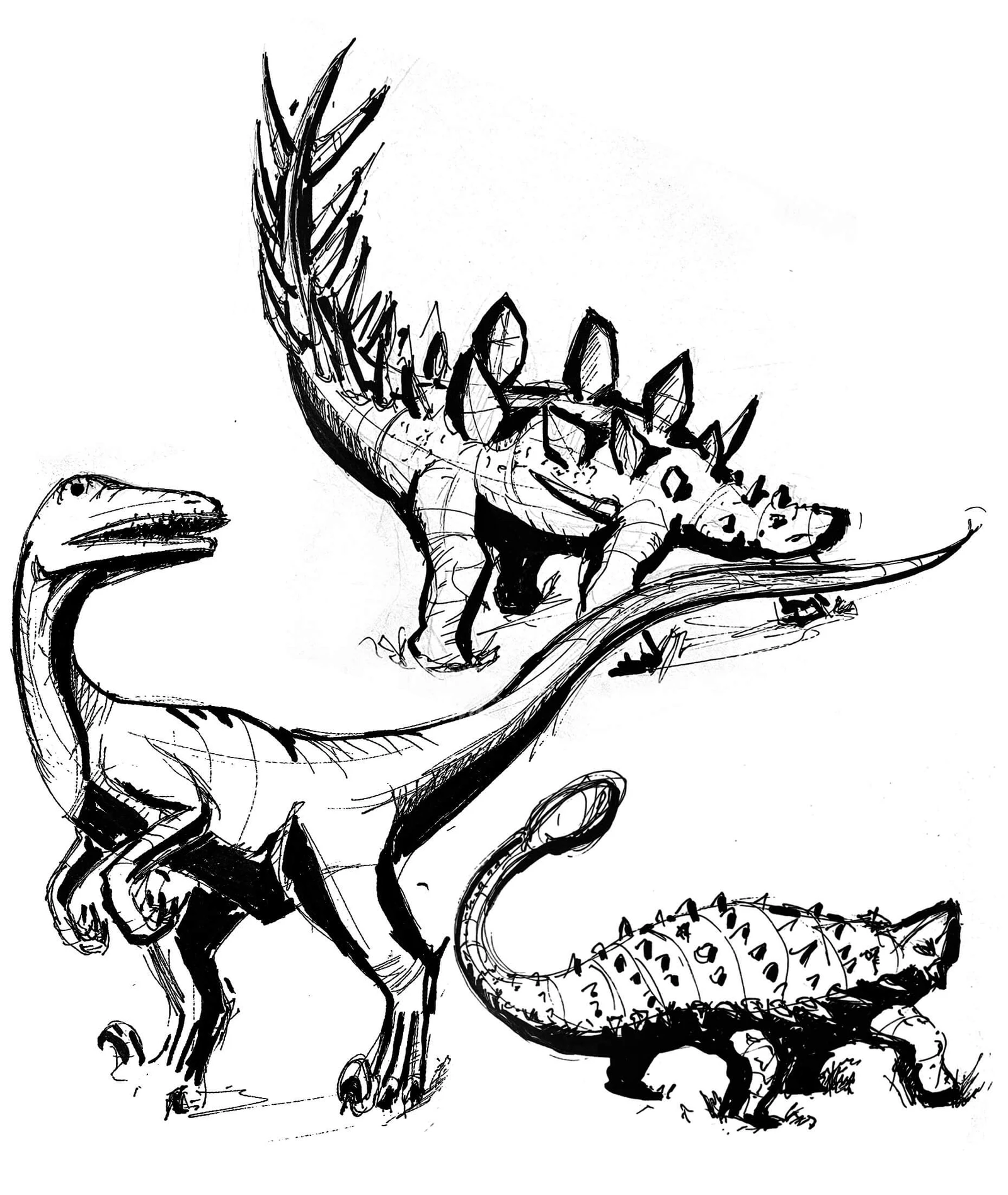 Sketch of dinosaurs